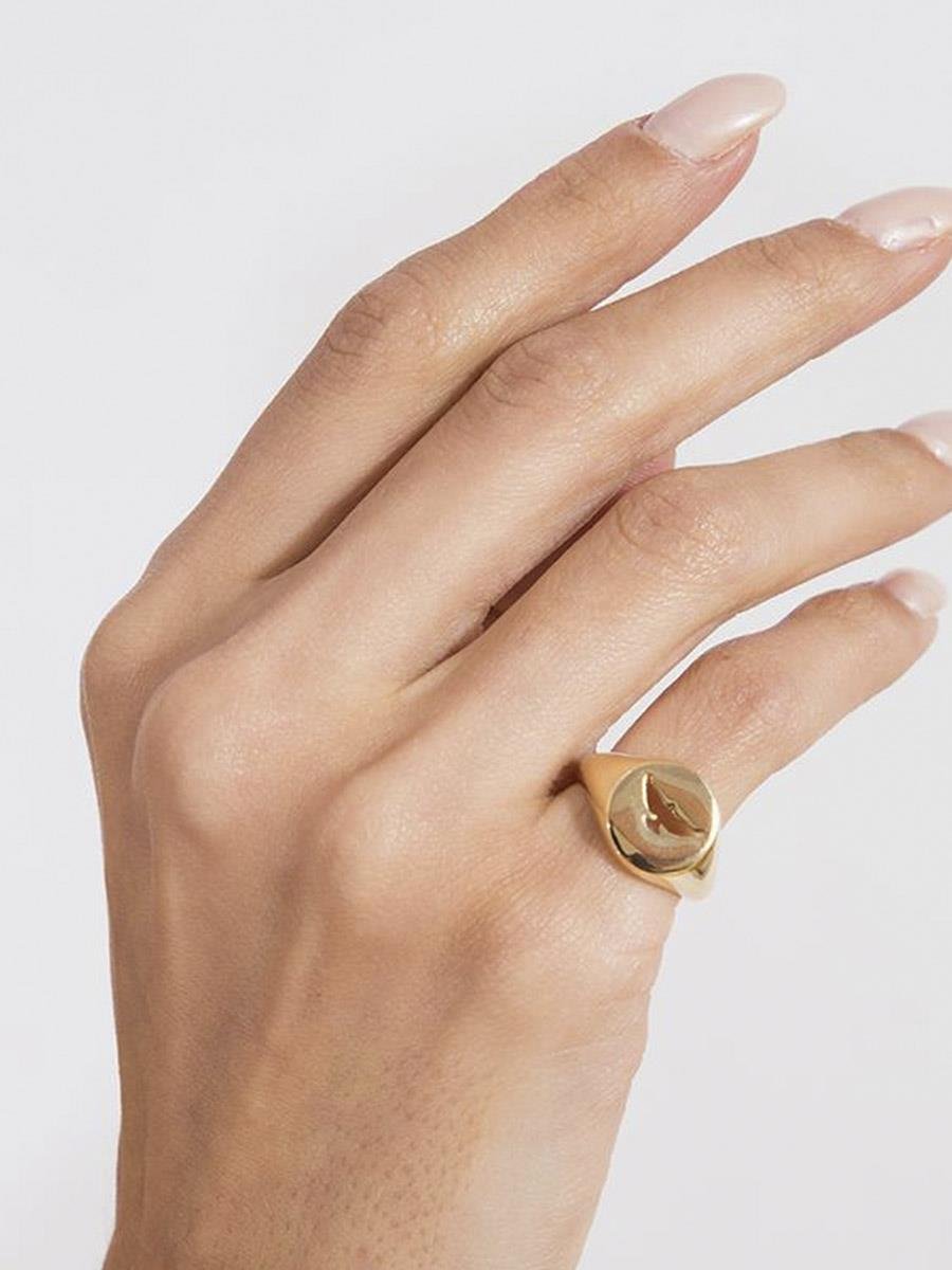 Anel Espírito Santo Vazado | Banhado a Ouro