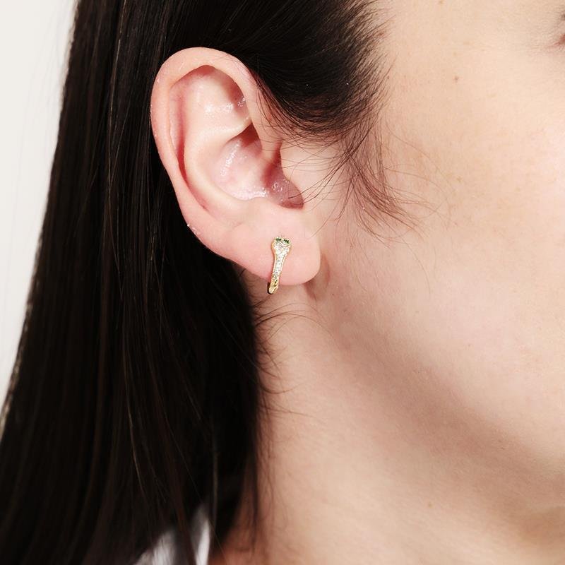 Argola Dourada de Cobra