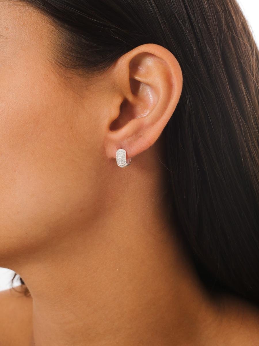 Brinco Argola Cravejada P | Prata 925